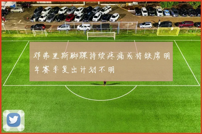 邓弗里斯脚踝持续疼痛或将缺席明年赛季复出计划不明