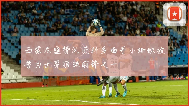 西蒙尼盛赞汉茨科多面手小蜘蛛被誉为世界顶级前锋之一