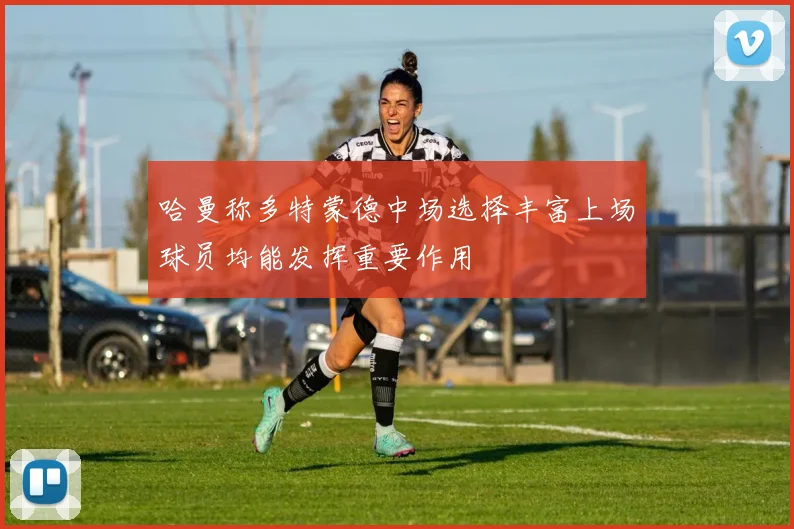 哈曼称多特蒙德中场选择丰富上场球员均能发挥重要作用