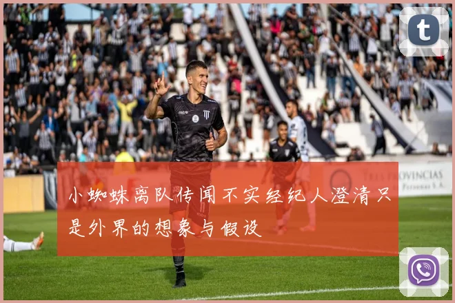 小蜘蛛离队传闻不实经纪人澄清只是外界的想象与假设
