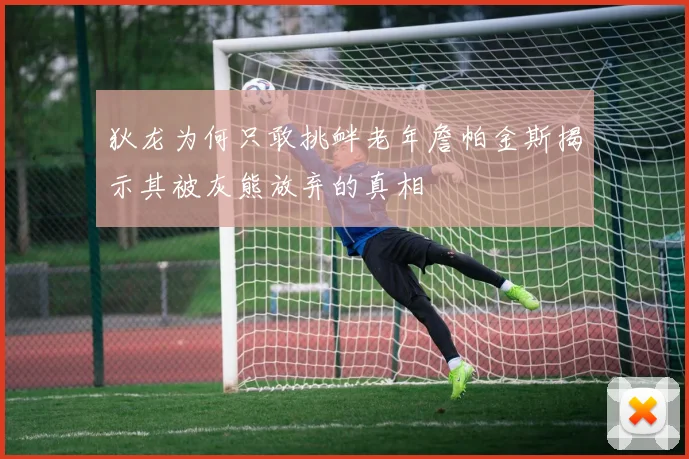 狄龙为何只敢挑衅老年詹帕金斯揭示其被灰熊放弃的真相